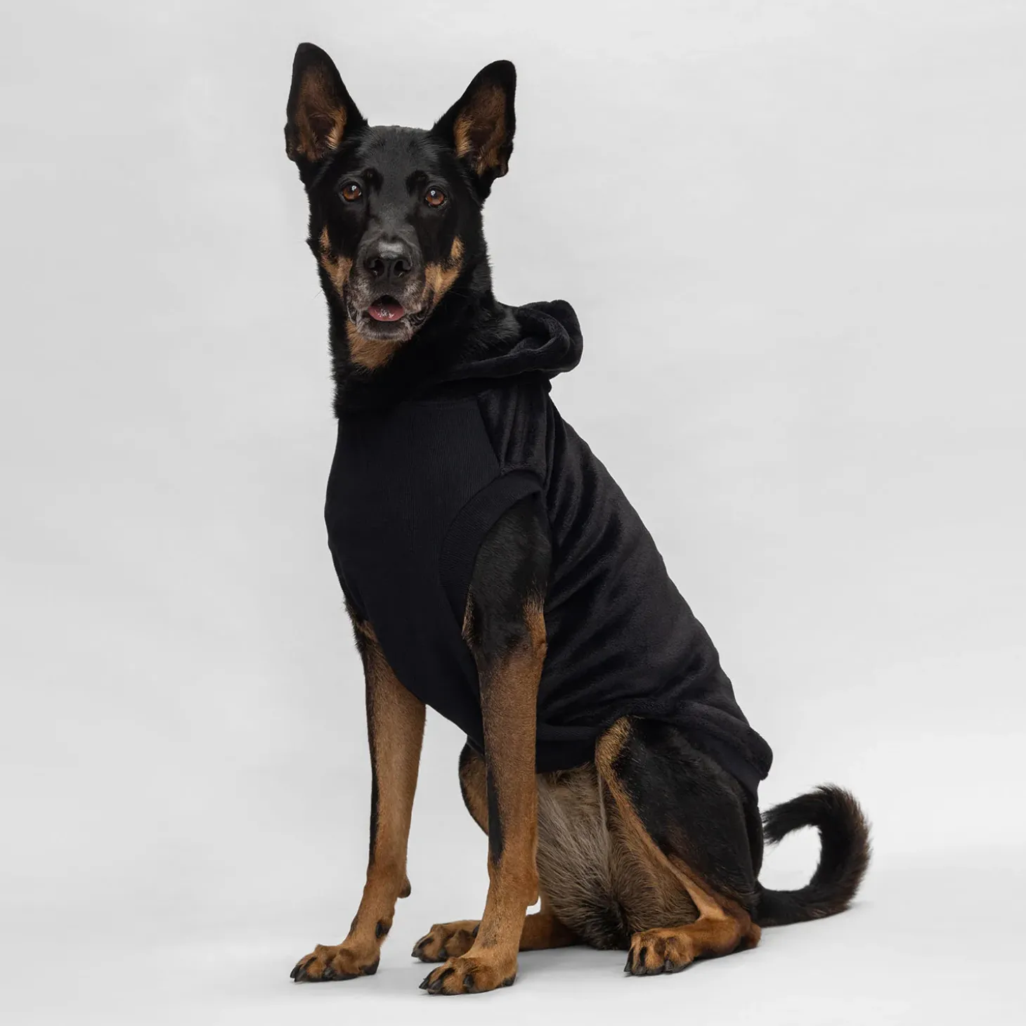 Black Oodie™ Original Dog