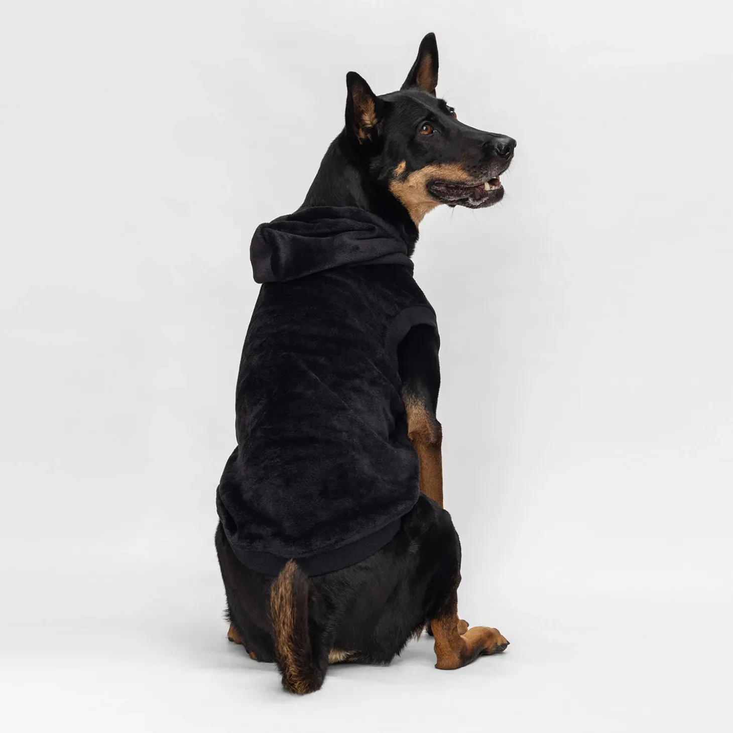 Black Oodie™ Original Dog