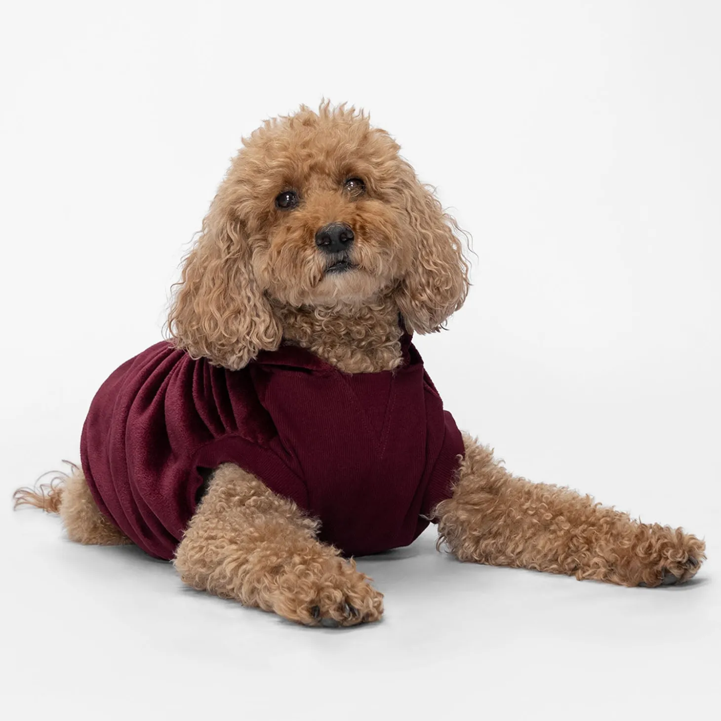 Burgundy Oodie™ Original Dog