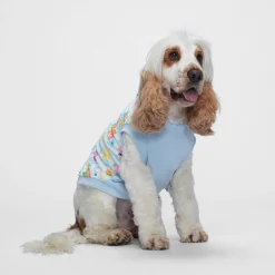 Care Bears™ Clouds Oodie™ Original Dog Licensed