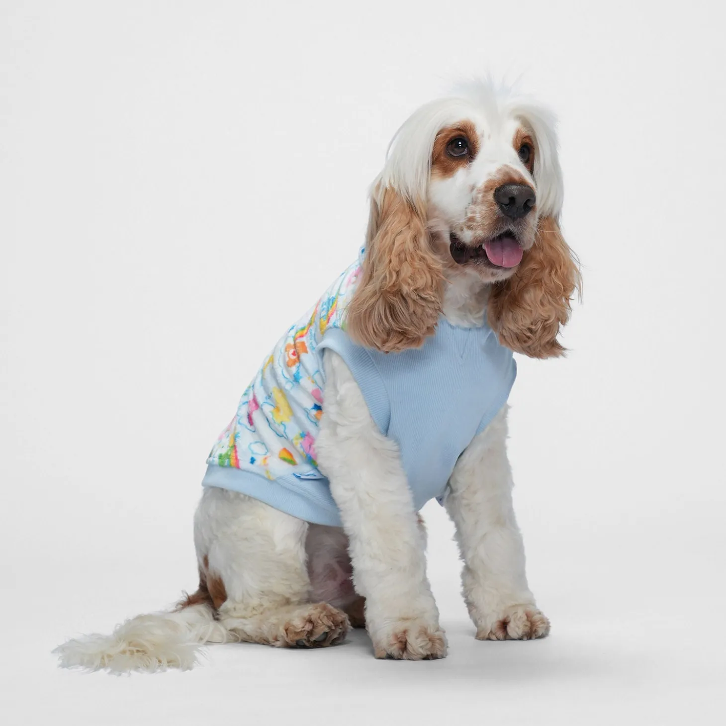Care Bears™ Clouds Oodie™ Original Dog Licensed
