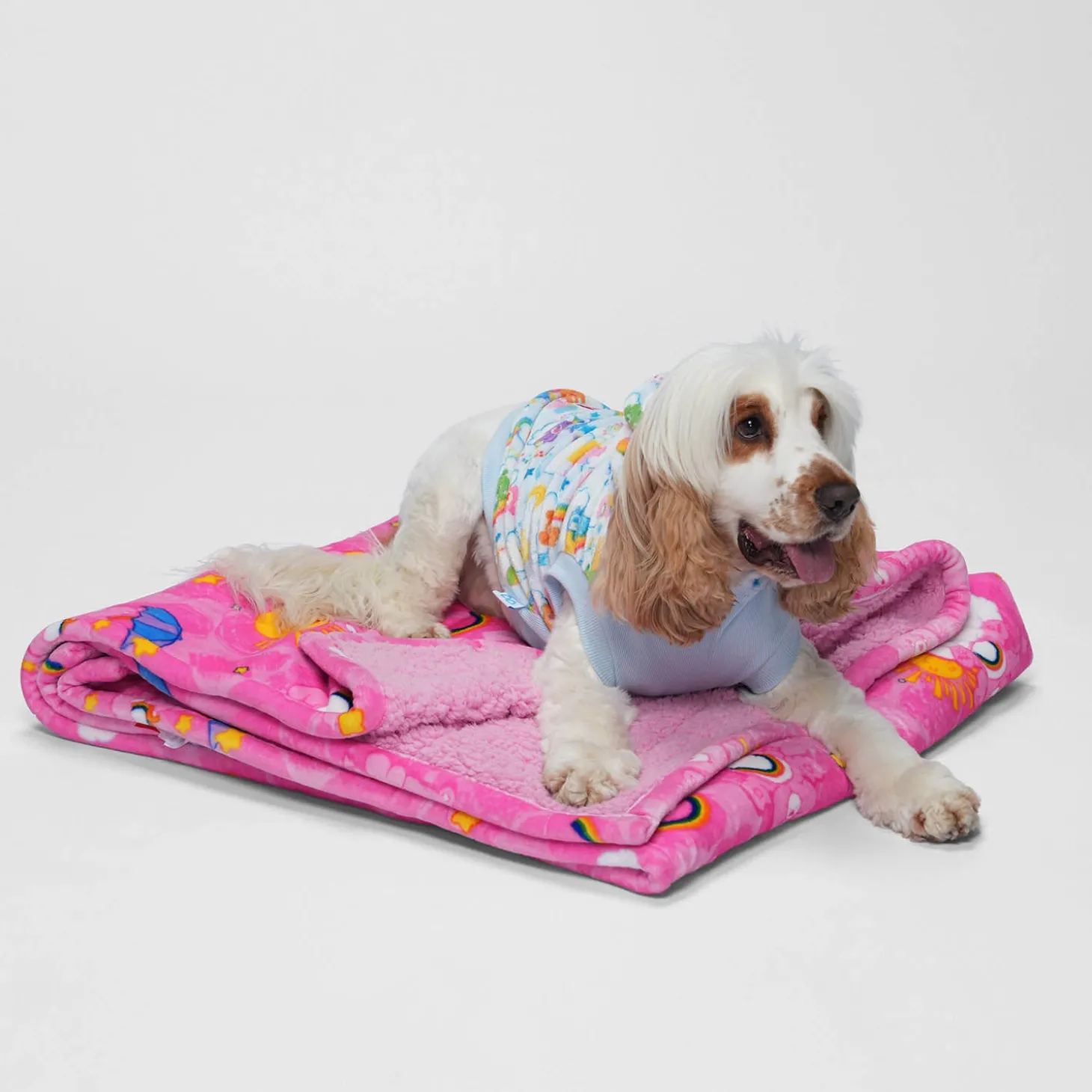 Care Bears™ Clouds Oodie™ Original Dog Licensed