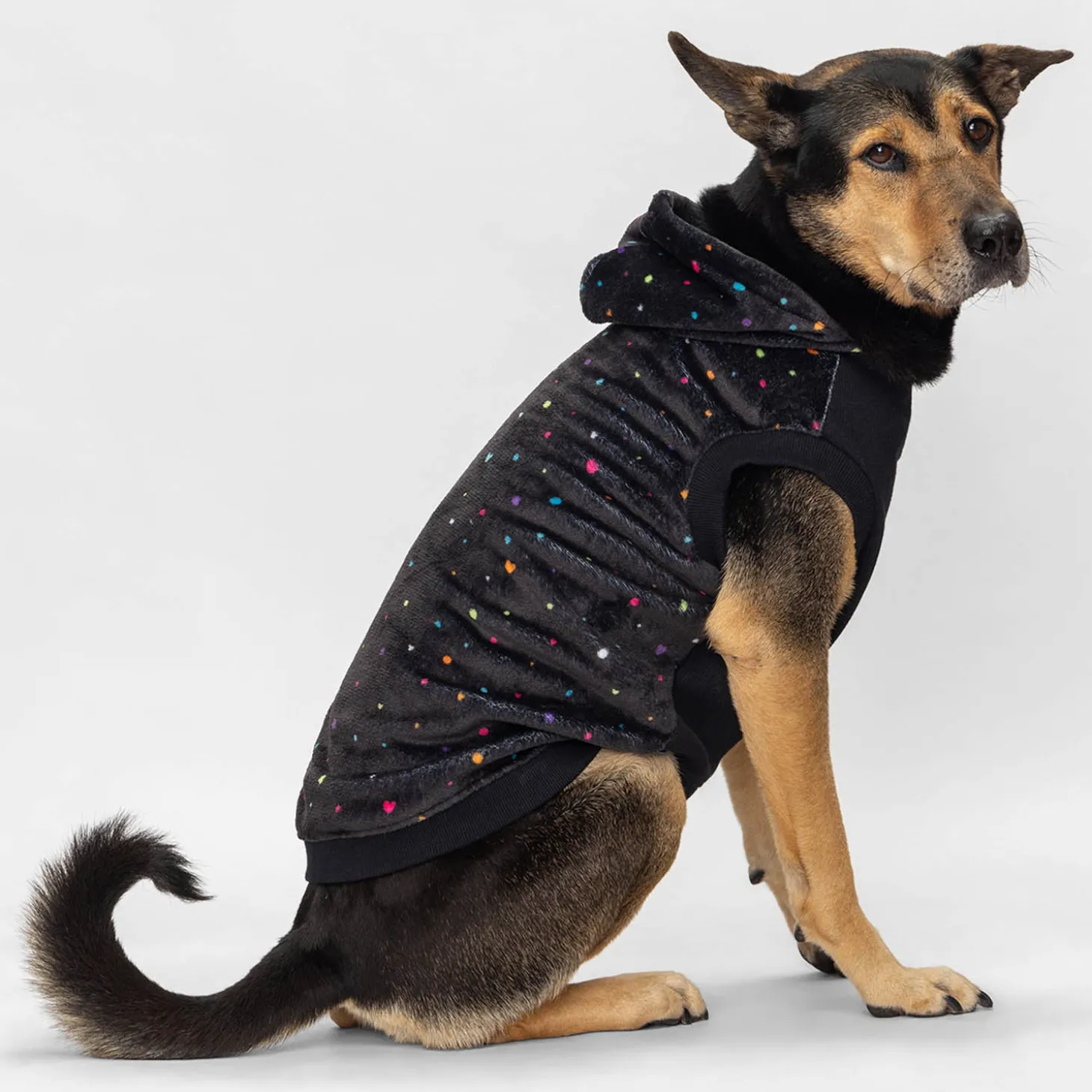 Confetti Oodie™ Original Dog