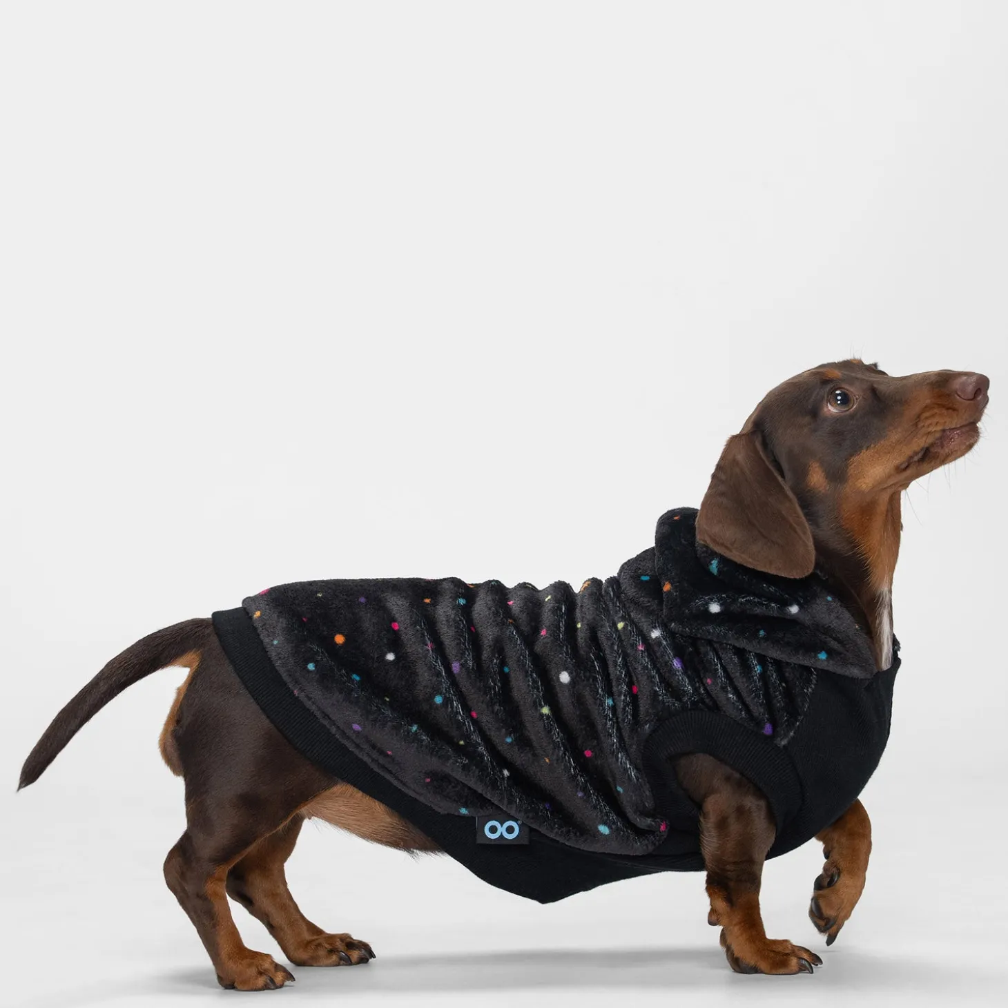 Confetti Oodie™ Original Dog