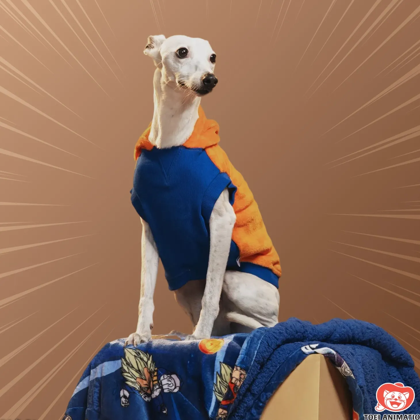 Dragon Ball Super Oodie™ Original Dog Licensed