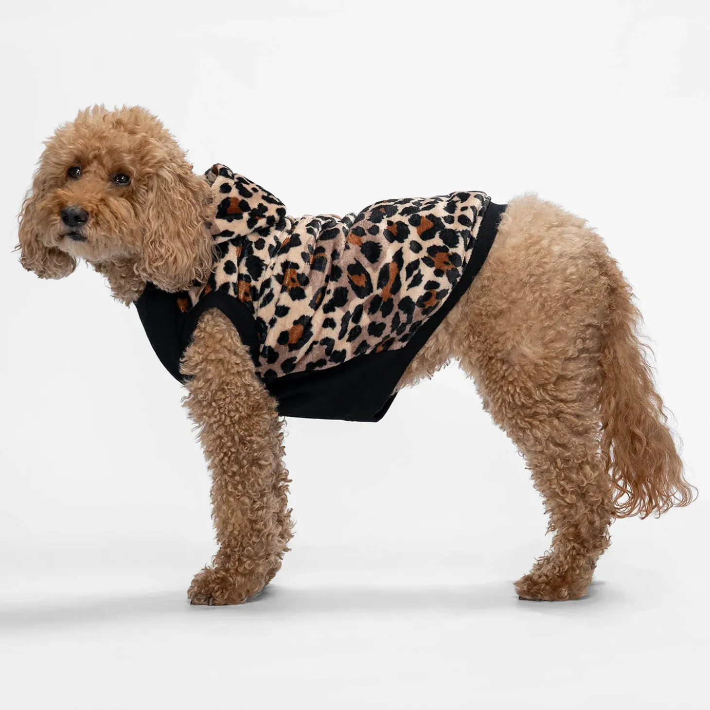 Leopard Oodie™ Original Dog