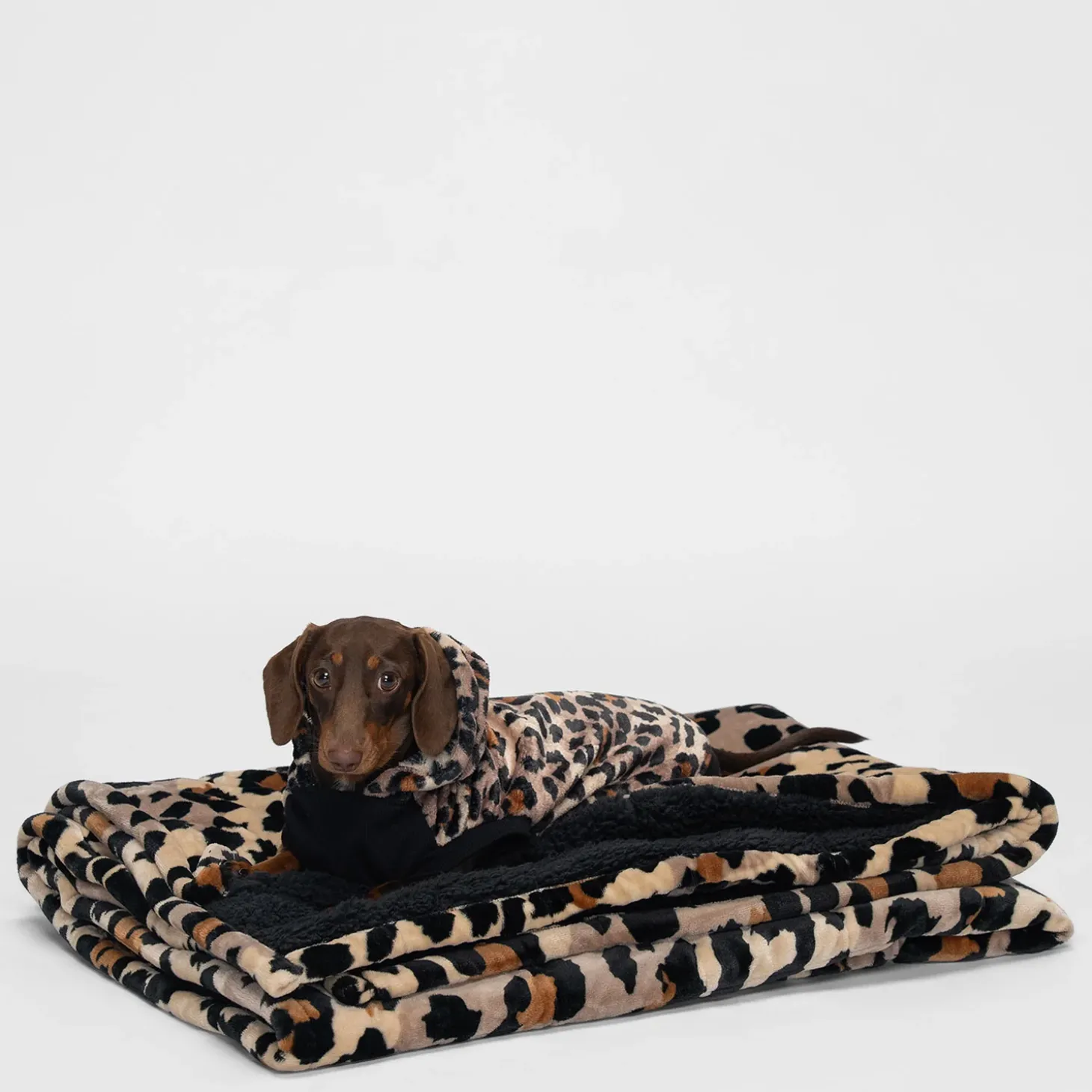 Leopard Oodie™ Original Dog
