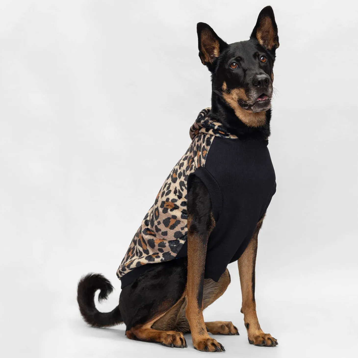 Leopard Oodie™ Original Dog